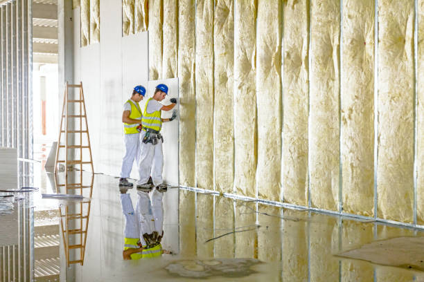 Professional Insulation Contractor in Aspen, CO